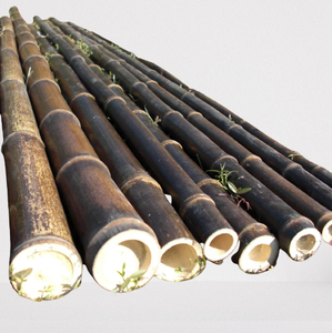 Los postes de <span class=keywords><strong>bambú</strong></span> negro crudo de construcción al por mayor suministran directamente varios <span class=keywords><strong>bambú</strong></span> blanco y verde para decorar jardines de <span class=keywords><strong>Bambú</strong></span> - Product Image 2