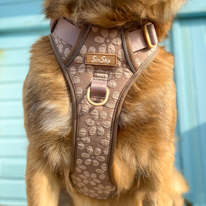 SinSkyカスタマイズ可能なファッションジャカード生地は快適耐久性引き無し犬用ハーネストレイル犬用ハーネスを探索 - Product Image 3