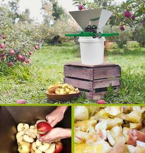 Presse-fruits manuelle classique pour cidre de pomme - Grande taille en acier inoxydable - Rouge - Product Image 5