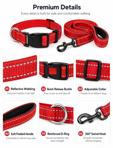 Reflective Nylon Dog <b>Collar</b> and <b>Leash</b> Set Adjustable <b>Pet</b> Lead Padded Handle Metal Hardware for Daily Walking - Product Image 3