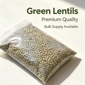 Venta al por mayor de lentejas verdes grandes orgánicas deshidratadas sin OMG de primera calidad con larga vida útil para cocinar y envasar, venta de fábrica - Product Image 6