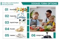 Gummies de Chlorophylle Véganes à Marque Blanche OEM, Multi-Vitamines B12 C D E, avec ACV, Ashwagandha et Sureau