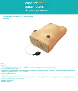 Simulador de Examen Obstétrico <span class=keywords><strong>y</strong></span> de Enfermería Materna - Herramienta de Entrenamiento de <span class=keywords><strong>Ginecología</strong></span> <span class=keywords><strong>y</strong></span> Partería para Práctica Clínica - Product Image 3