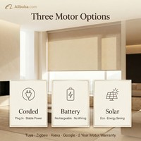 Akıllı Motorlu Stor Perdeler Özel Ölçü OEM ODM Fabrika Karartma Su Geçirmez Pencere Gölgelikleri Uzaktan Kumanda Uygulaması Alexa Google Kontrolü