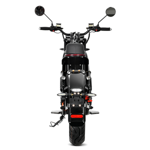 YUHANZHEN marque EEC COC HM-4 modèle 20Ah 25Ah 50Ah 60Ah batterie rue juridique adulte moteur électrique rue vélo moto - Product Image 4