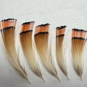 Vente en gros de plumes Offre Spéciale plumes de tête de faisan doré naturel pour la pêche à la mouche montage de mouches - Product Image 6