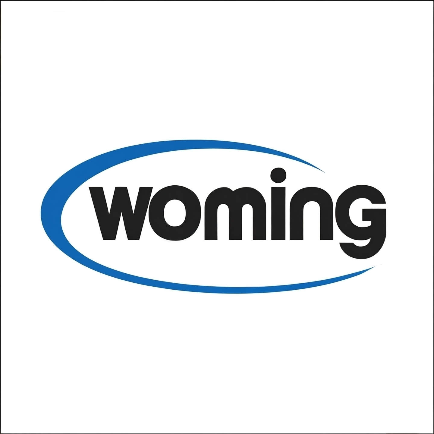 Henan Woming Instrument Equipment Co., Ltd. logo