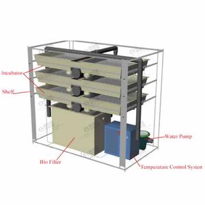 Incubadora de <span class=keywords><strong>salmónidos</strong></span> tipo estante para piscicultura sobre el suelo de fábrica de 20 años - Product Image 2