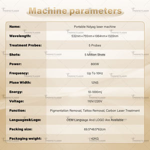 ND เครื่องลบรอยสักเลเซอร์ Picosecond Q เปลี่ยน532 755 1064แบบพกพา1320nm ตุ๊กตาสีดำ - Product Image 6