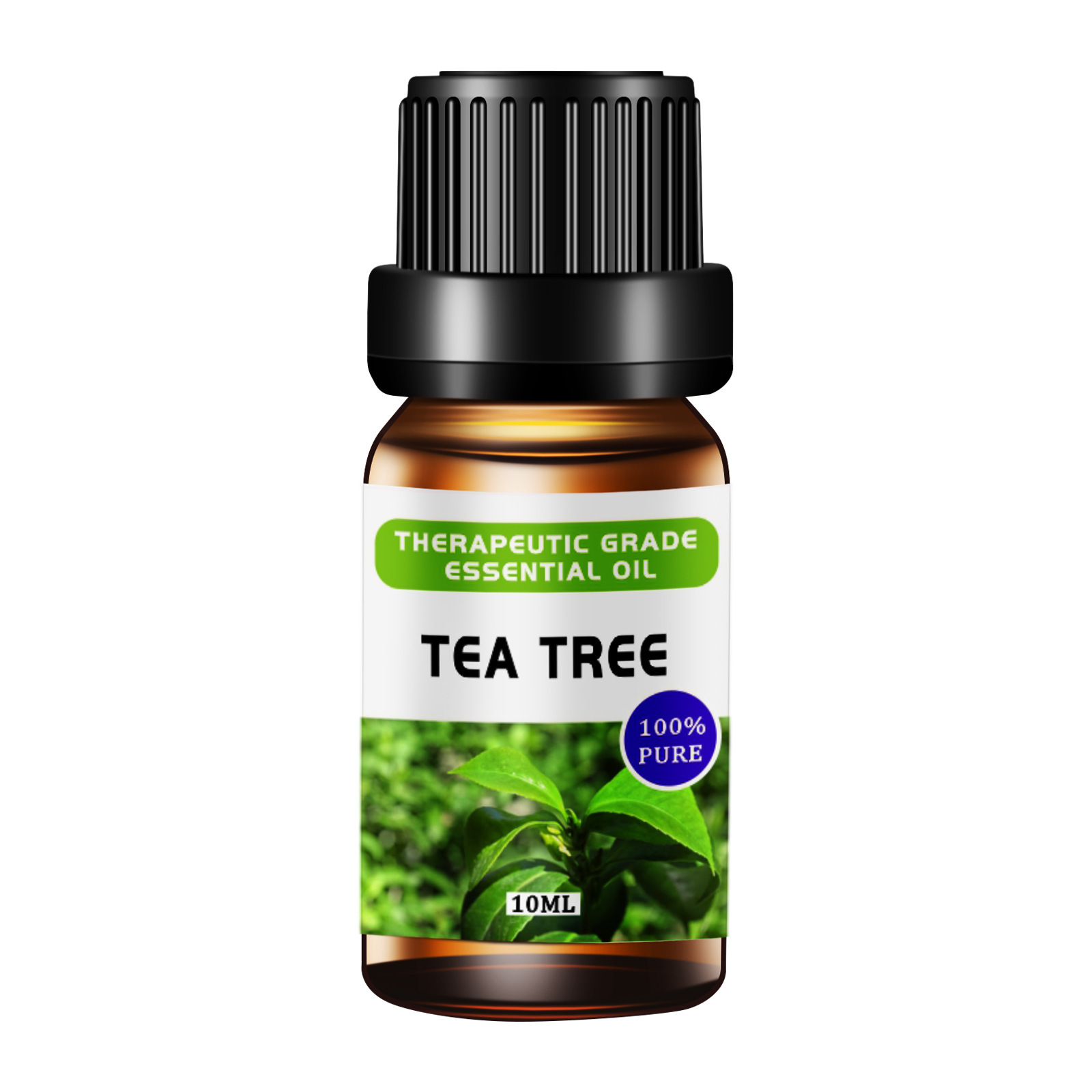 A TEA TREE