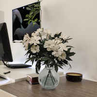 Vase à bulbes en verre moderne personnalisé pour plantes artificielles, bonsaïs et jardins – Idéal pour l'intérieur et l'extérieur (vente en gros)