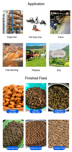 Machine à fabriquer des aliments pour petits chiens machine à fabriquer des aliments pour chiens <span class=keywords><strong>croquettes</strong></span> machine à fabriquer des aliments pour chiens abordable - Product Image 4
