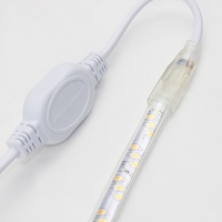 Bande lumineuse LED personnalisée AC110/220V avec prise US/EU/UK/SAA, accessoires 2-4 broches, 2A 4A 8A 15A 20A 100W 1000W 2000W