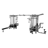 Máquina de Gimnasio Multifuncional Liva Unisex Profesional de 8 Estaciones, con Pila de Pesas de 100 kg para Uso Comercial
