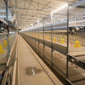 Nuevas Jaulas Apilables Tipo H de 3 Niveles para Pollos de Engorde, Ideales para Pequeñas Cooperativas Rurales, Ahorro de Espacio, Galvanizadas en Caliente, Fácil Gestión de Alimentación por Lotes - Product Image 1