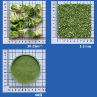 Fabricant Professionnel de Poudre de Brocoli Lyophilisée FD, Poudre de Légumes de Qualité Export, Poudre de Brocoli Séchée par Congélation