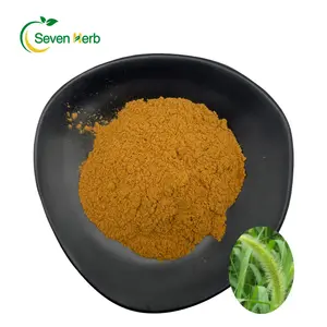 Factory Supply Natural Horsetail Extract Powder With 7% Silicic Acid