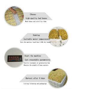 Máquina multifuncional y duradera para germinar brotes de frijol mungo, máquina para hacer brotes de frijol para venta al por mayor - Product Image 2