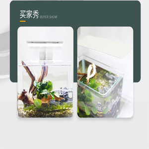 <span class=keywords><strong>Lampe</strong></span> à <span class=keywords><strong>pince</strong></span> pour <span class=keywords><strong>aquarium</strong></span>, éclairage pour plantes aquatiques, normes européennes et américaines, pour l'Asie du Sud-Est - Product Image 4