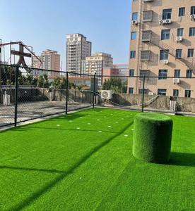 Erba Sintetica Verde 10mm di Lunga Durata, Facile <span class=keywords><strong>da</strong></span> Installare, per Giardini, Paesaggistica e Campi <span class=keywords><strong>da</strong></span> Golf, Tappeto d'Erba Artificiale per Esterni - Product Image 5