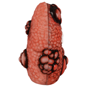 Modèle de poumon fumeur en PVC, taille réelle, comparaison pathologique en coupe transversale, poumon sain vs malade, éducation médicale, santé - Product Image 4