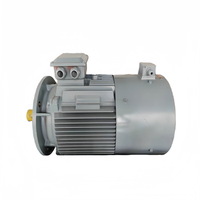 Moteur électrique étanche Wolong à double arbre 380V/440V B3 AC triphasé, efficacité IE3, 50/60Hz, 100kW 2HP