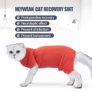 Traje de Recuperación Quirúrgica <span class=keywords><strong>para</strong></span> Gatos, Ropa Antilamido <span class=keywords><strong>para</strong></span> Esterilización, <span class=keywords><strong>Camisa</strong></span> Postoperatoria, Atuendo de Cuatro Patas <span class=keywords><strong>para</strong></span> la Curación de Gatos y <span class=keywords><strong>Perros</strong></span> - Product Image 5