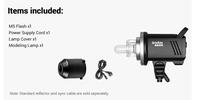 God Ox Photographie Ms200 200w Flash Strobe Light Portable Mini Master Studio Flash Light pour Studio