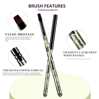Ensemble professionnel de luxe 10 pièces pour nail art, manche en bois, poils en nylon ondulés, pour peinture au gel, liner, ombrage et extension