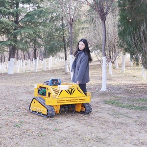 Tondeuse robot autotractée AWY 550S à moteur 4 temps à essence, télécommandée, avec broyeur à fléaux, 212 cm³, pelle à neige et déneigeuse en pente en option - Product Image 3