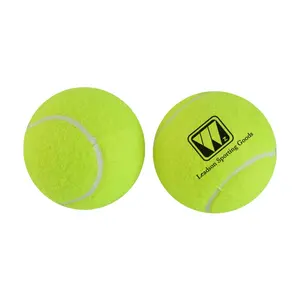 Bola de tênis de pás indoor, equipamento durável para esportes, brinquedo para crianças, brinquedo para animais de estimação, novidade por atacado