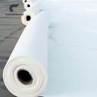 Géotextile industriel non tissé en plastique PP haute résistance 100g-800g Filtration Séparation Drainage