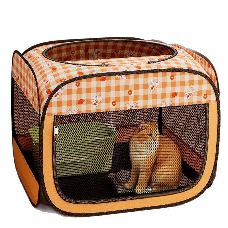 กระต่ายการ์ตูน