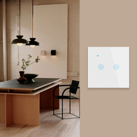 Smart Life Compatible 400W/Gang 2-Gang Panel táctil Wifi interruptor duradero para luz LED de pared de techo Universal US/EU/UK voltaje