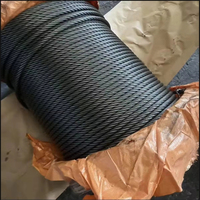 Tali kawat baja IWRC 6mm ungalvanisasi kabel laut 6x36SW tali kawat galvanis