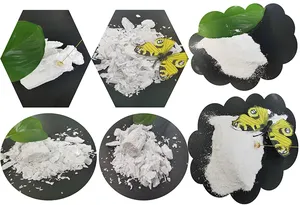 China RICI Industrial Magnesium Chloride Mgcl2 Flakes Or Powder Price