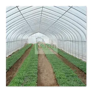 8X12 चीन ग्रीन घरों सुरंग खोदने Plastico पैरा Invernaderos-औद्योगिक Tunel कृषि ग्रीनहाउस इस्तेमाल किया बिक्री के लिए