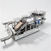 Machine d'emballage automatique de sachets de nouilles instantanées 24 sachets/carton, entraînement servo 16 sachets/min, qualité alimentaire, Ethernet, Industrie 4.0