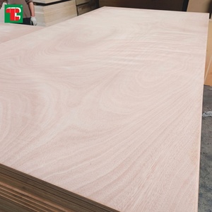Tablero <span class=keywords><strong>de</strong></span> Madera Contrachapada Comercial <span class=keywords><strong>de</strong></span> Eucalipto, MDF <span class=keywords><strong>de</strong></span> 4mm, 2mm, <span class=keywords><strong>OSB</strong></span> <span class=keywords><strong>de</strong></span> 8mm <span class=keywords><strong>de</strong></span> Grosor, Lámina 4x8, 3/8, <span class=keywords><strong>Precio</strong></span> China, 5mm Indonesia, para Muebles en Guyana - Product Image 1