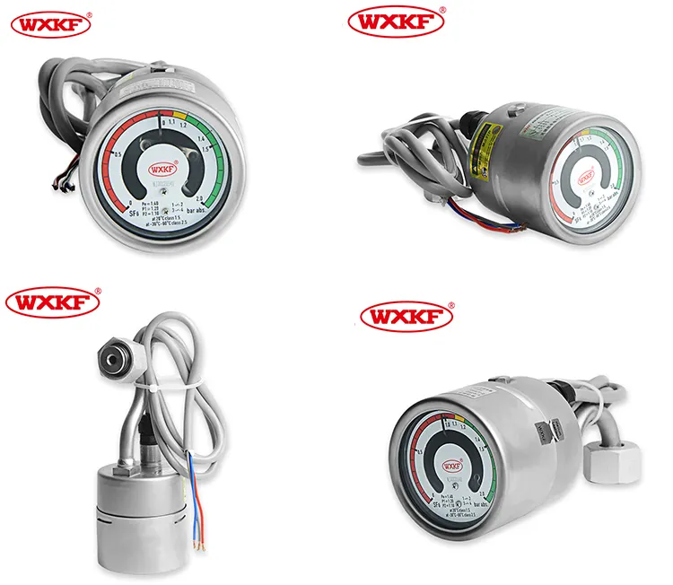 Circuit Pole Schakelaar En Transformatie Sf6 Dichtheid Drukmeter