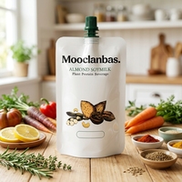 Pochettes souples personnalisées avec bec verseur pour liquides alimentaires, emballage de boissons, avec bouchon en plastique