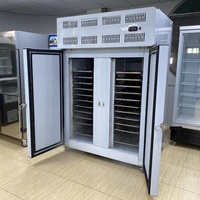 Professionele levering Mr Frio High RVS 304 Tweedeurs Schokvriezer Blast Chiller Digitale Temperatuurregeling Tecumseh