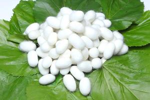 ABD/AB Deposu Kozmetik Hammaddesi Hızlı Teslimat Suda Çözünen Doğal İpek Proteini Hidrolize İpek Fibroin Tozu - Product Image 2