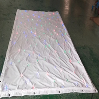 Rideau LED Étoilé Personnalisé Brillant avec Contrôle DMX512 Lumières Bleues et Blanc Chaud pour Mariages, Fêtes, DJ, Événements Religieux - 4x6m
