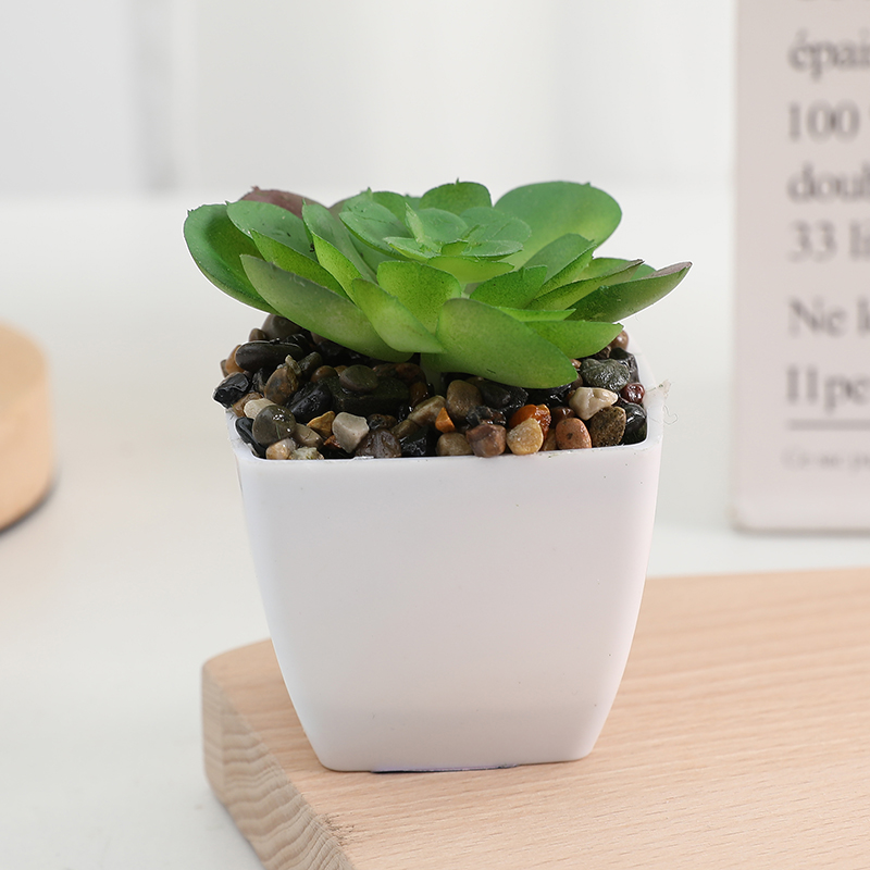 10 Pcs Artificial square Succulent Plants Potted Faux Flower Succulents  Mini Picks Bulk Stems for Home Indoor Garden Decorations| Alibaba.com