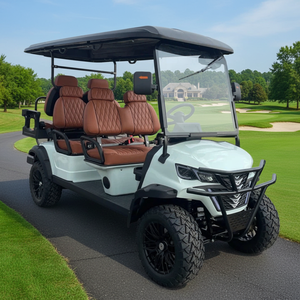 Chariot de golf élégant à 4 roues motrices, 6 places, pour le tourisme - Product Image 1