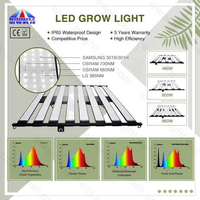 LM301H EVO 1000W 3 Channels LED Grow Light Bloom Hydroponic Plant Light for Smart Garden