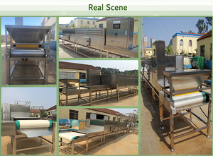 Nouveau produit, déshydrateur de fruits de mer, de poissons et de vers de <span class=keywords><strong>bois</strong></span>, machine <span class=keywords><strong>à</strong></span> sécher au micro-ondes - Product Image 4