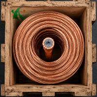 Fil torsadé en acier recouvert de cuivre CCS à 19 brins de 2,14 mm, 25 % IACS