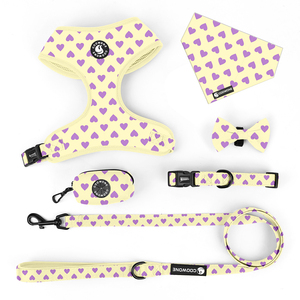 Set Personalizzato di Guinzaglio e Collare per Cani, Imbracatura Regolabile in Neoprene con Etichetta Privata - Product Image 3